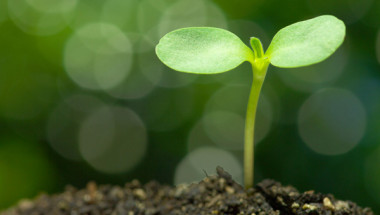 Progetto di ricerca Green Gas